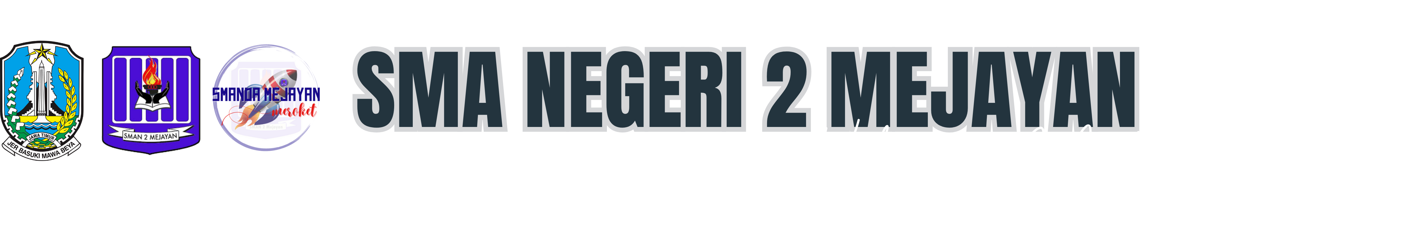 Logo Website